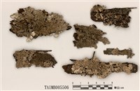 藏品(高野雙歧根梅衣)的圖片